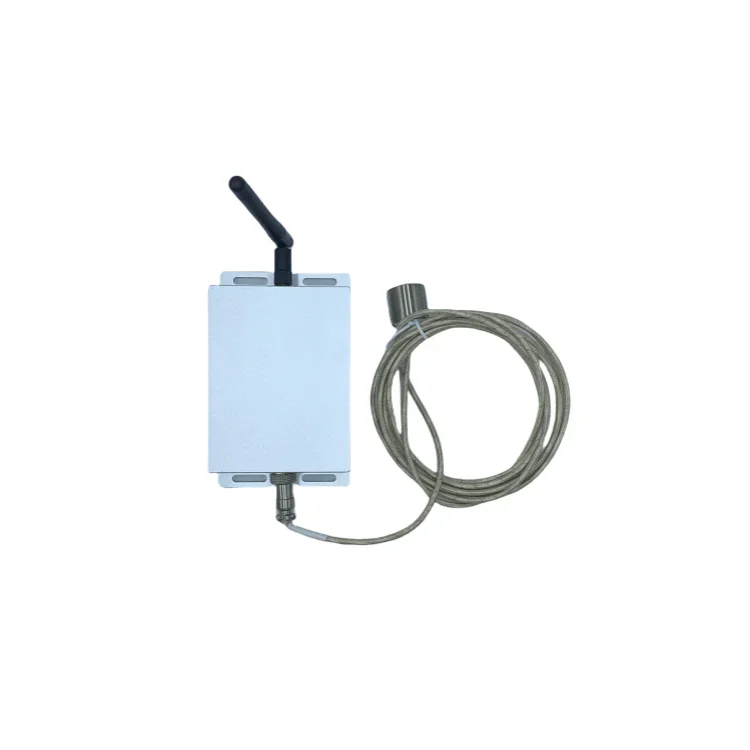 PT100 Cost-effective LoRa Precision Platinum Sensor 5-year Battery Lorawan Wireless Temperature Sensor