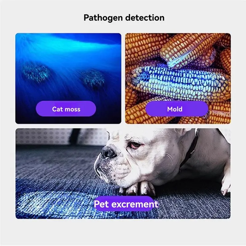 UNCL Portable UV Flashlight Ultraviolet Torch With Pen Clip 8Pcs Violet Light Use Pet Urine Scorpion Detector UV Lamp