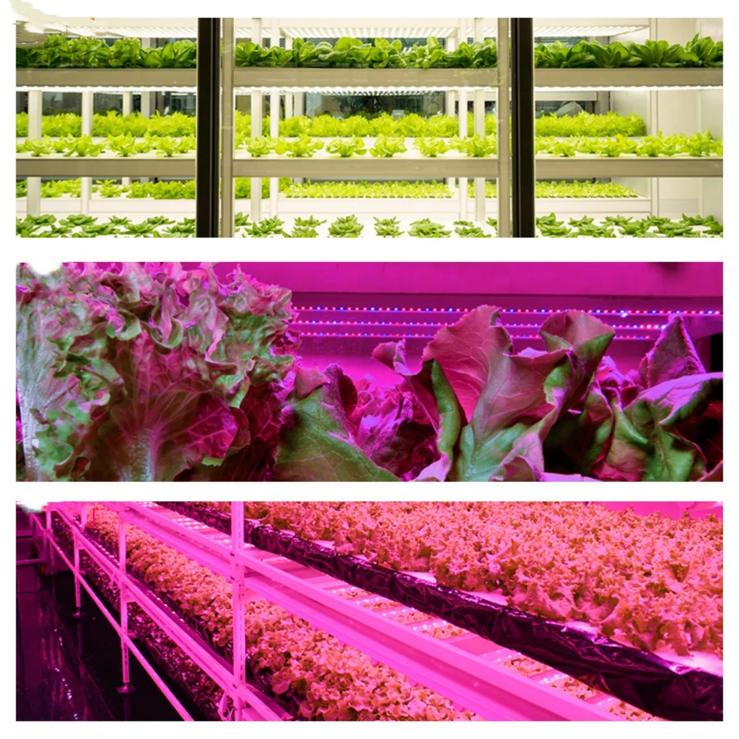 

LED Plant Growth Light 3 Colors Adjustable Lights Strips for Indoor Plants USB Full Spectrum Phyto Dimmable Timer Seedlings 1PC