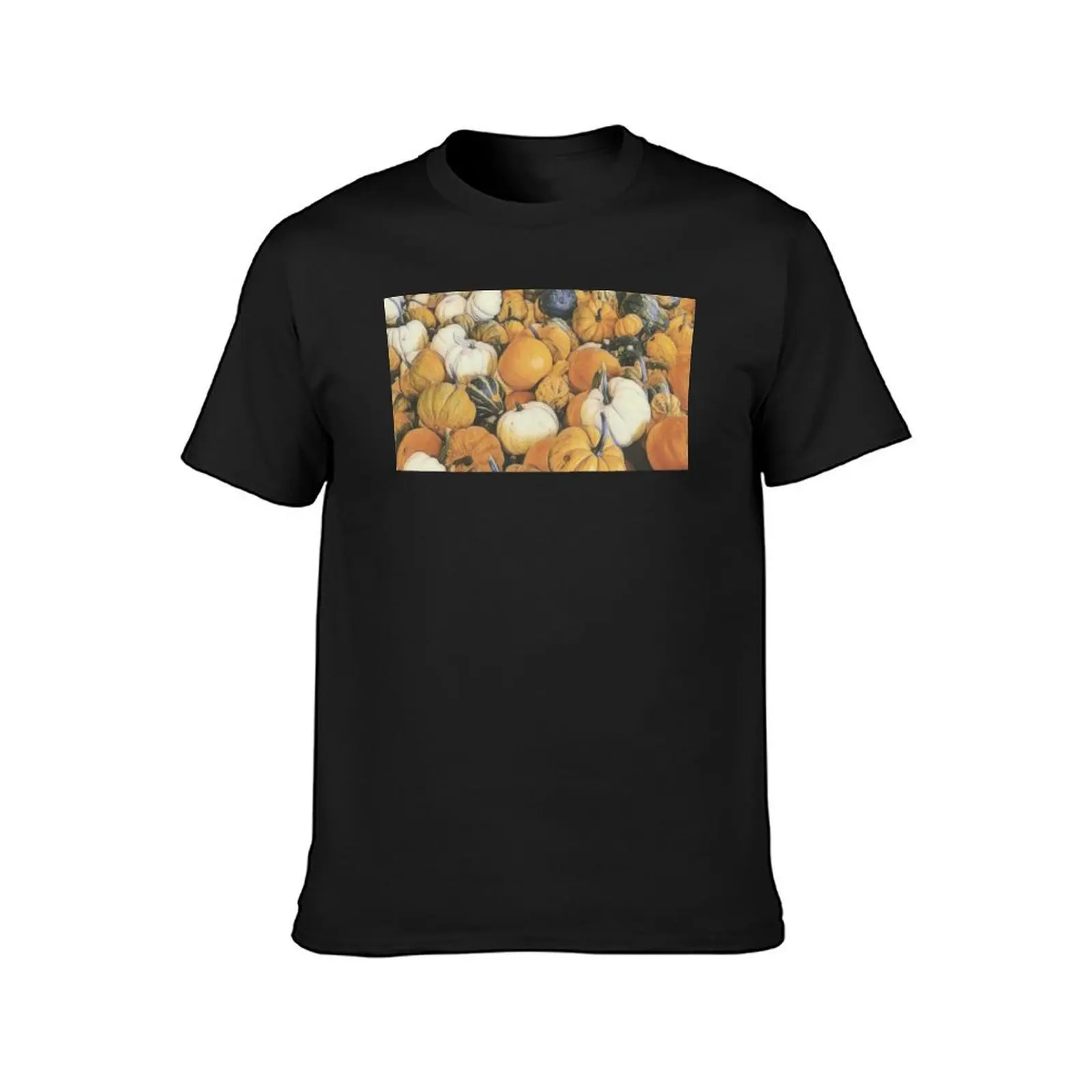 Pumpkin Harvest T-Shirt Aesthetic clothing oversized anime clothes cute clothes t shirts men