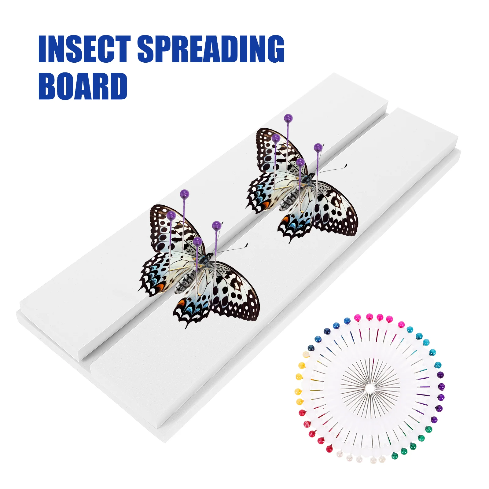 Professional Insect Pinning Kit with Butterfly Spreading Board for Specimen Display Mounting and Preservation