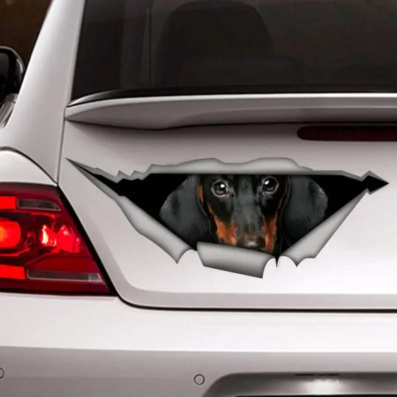 Dachshund decal, Dachshund Magnet, dog car decal, Vinyl decal, car decoration, Dachshund sticker