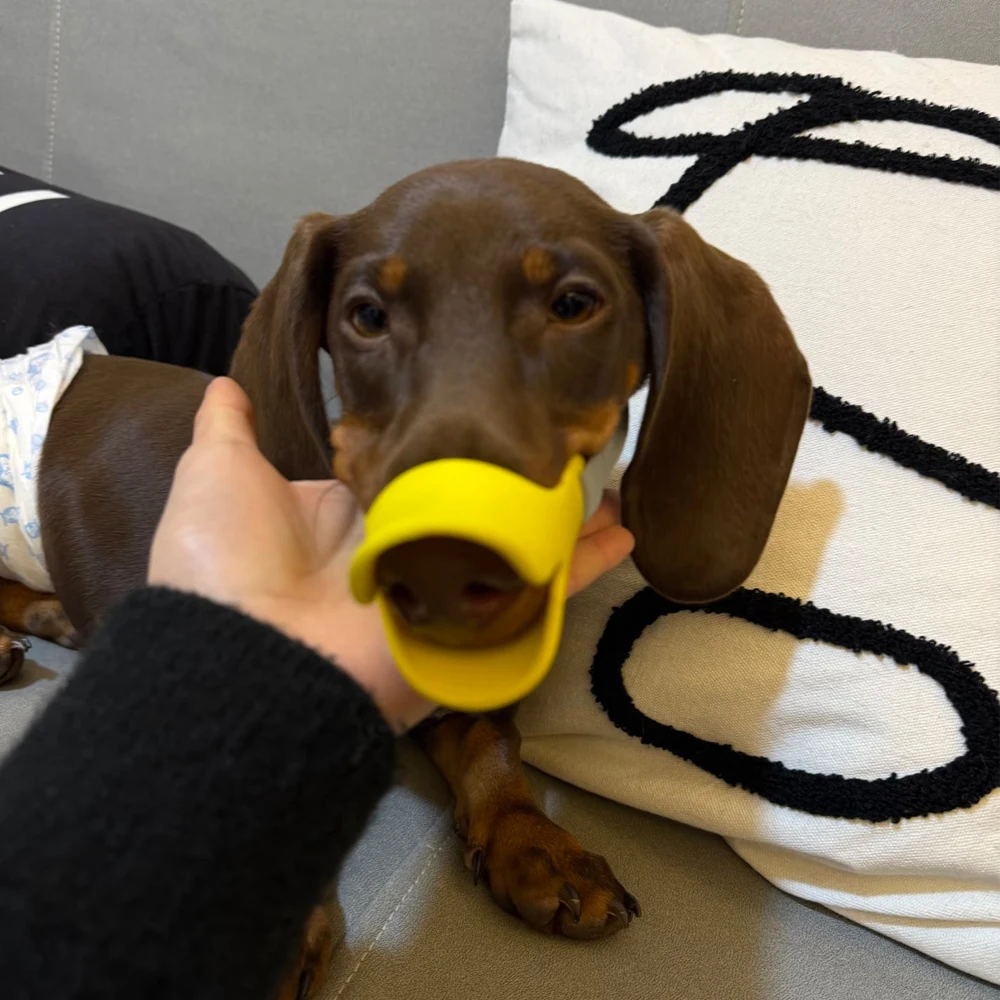 Bozal anti-ladridos de silicona para perros – Flexible y seguro - imagen 2