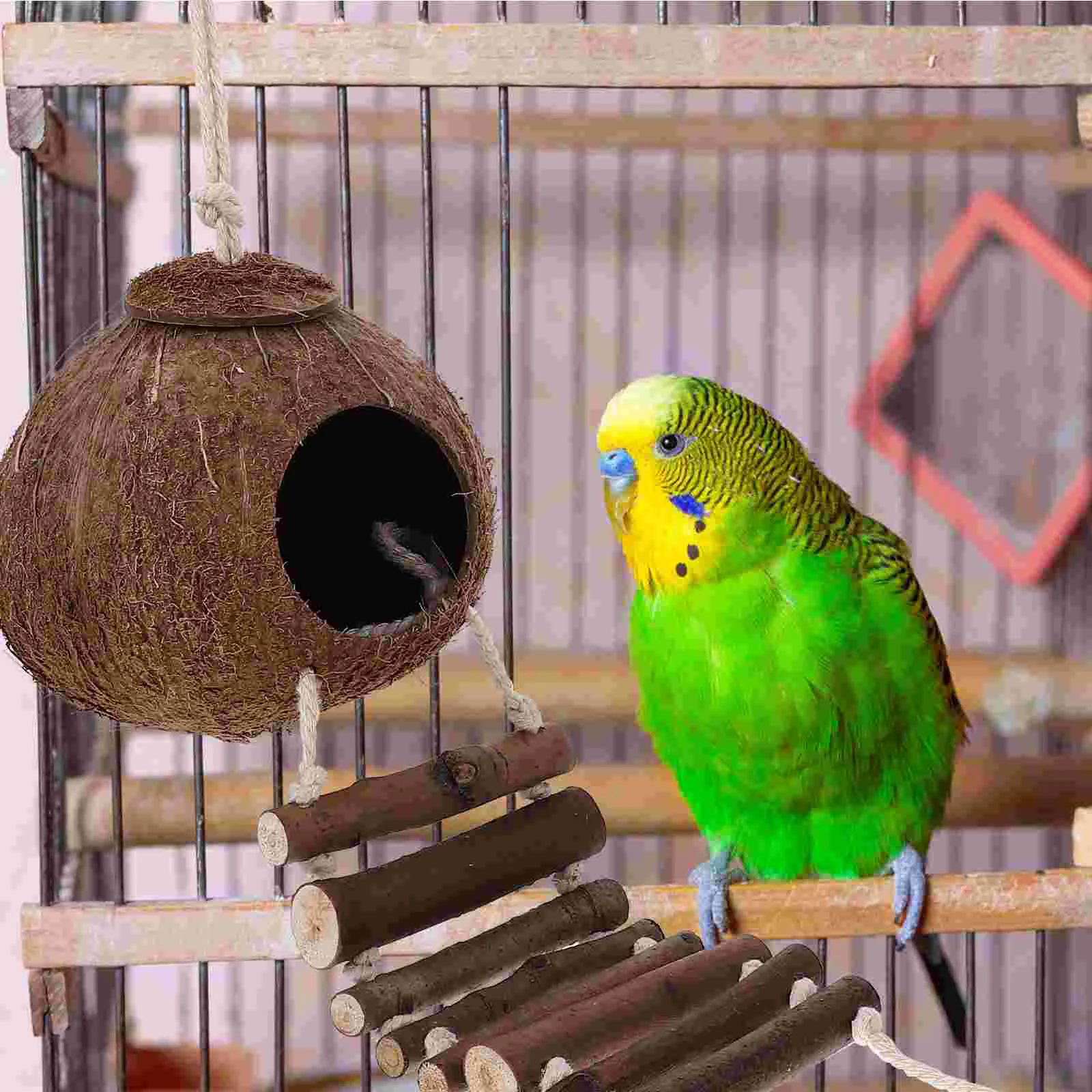 

Coconut Shell Hermit Crab Habitat Ladder Hanging Small Reptile Shelter Decorative Hideout Reusable Pet Accessories