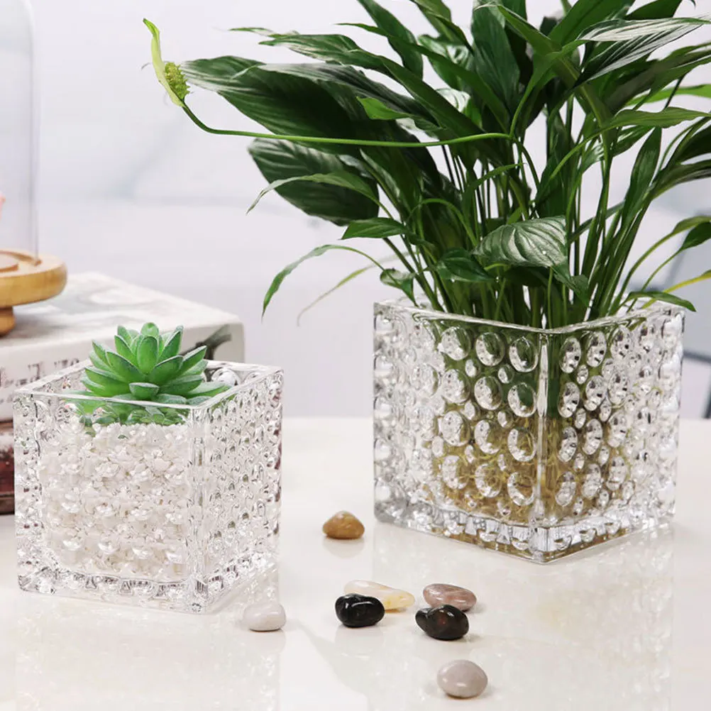 

2Pcs Square Glass Holders Thickened Heat-Resistant Containers for Hydroponic Planter Desktop Home Decoration