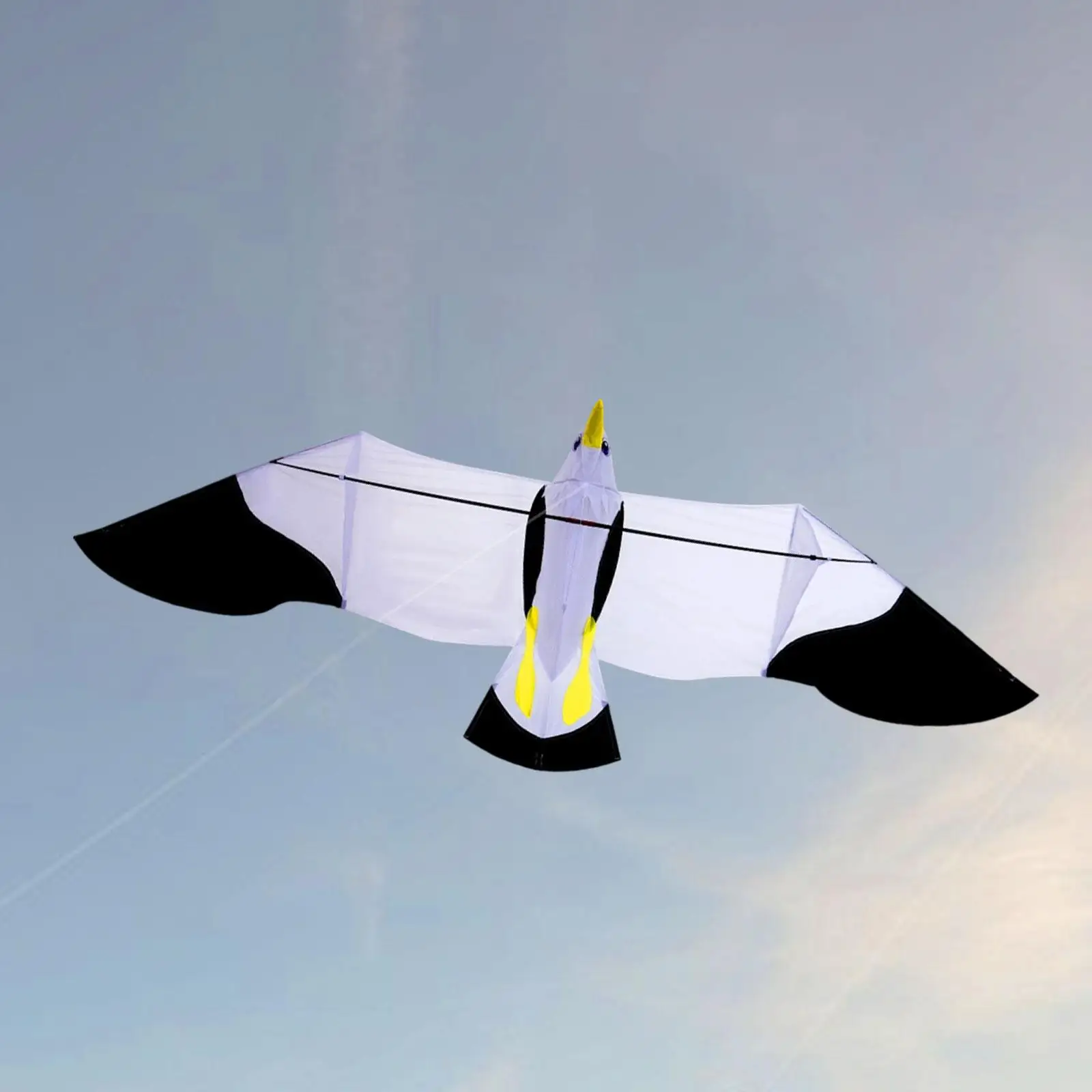 

Eagle Kite for Kids and Adults 78.74x27.56inch Novelty Realistic Portable Huge Kite Flying Toy for Beach Trip Family Activity