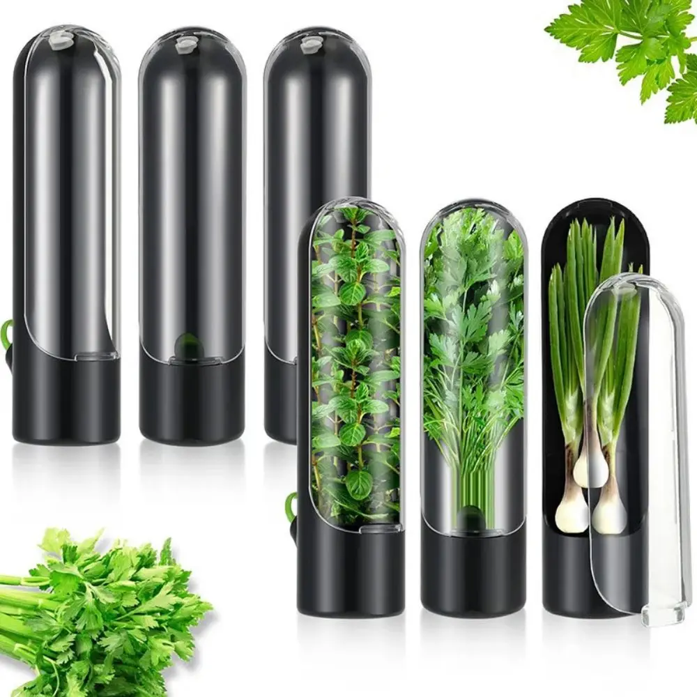 Herb Saver Storage Container Fresh Herb Keeper Vanilla Vegetables Fresh Preservation Bottle for Refrigerator Kitchen Gadgets