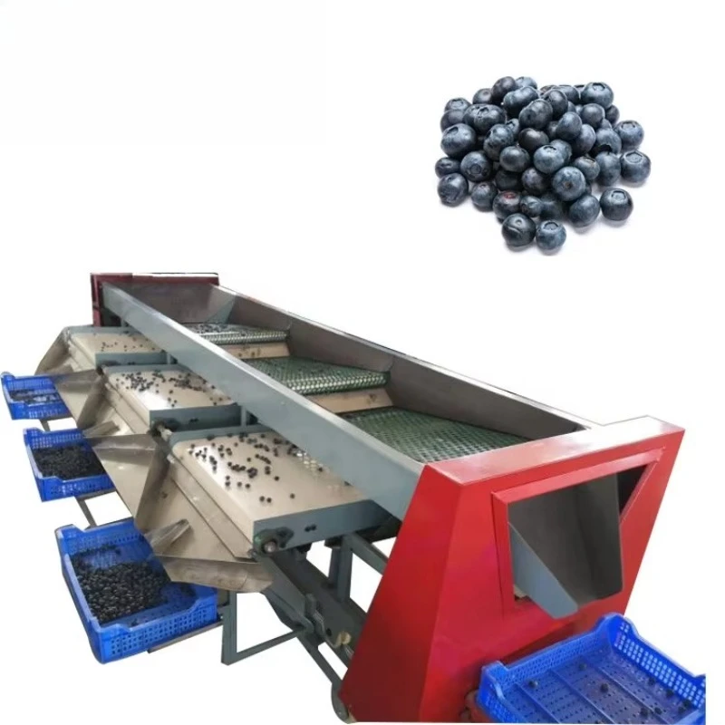 Automatic Fresh Blueberry Sorting Machine,blueberry Sorter Machine