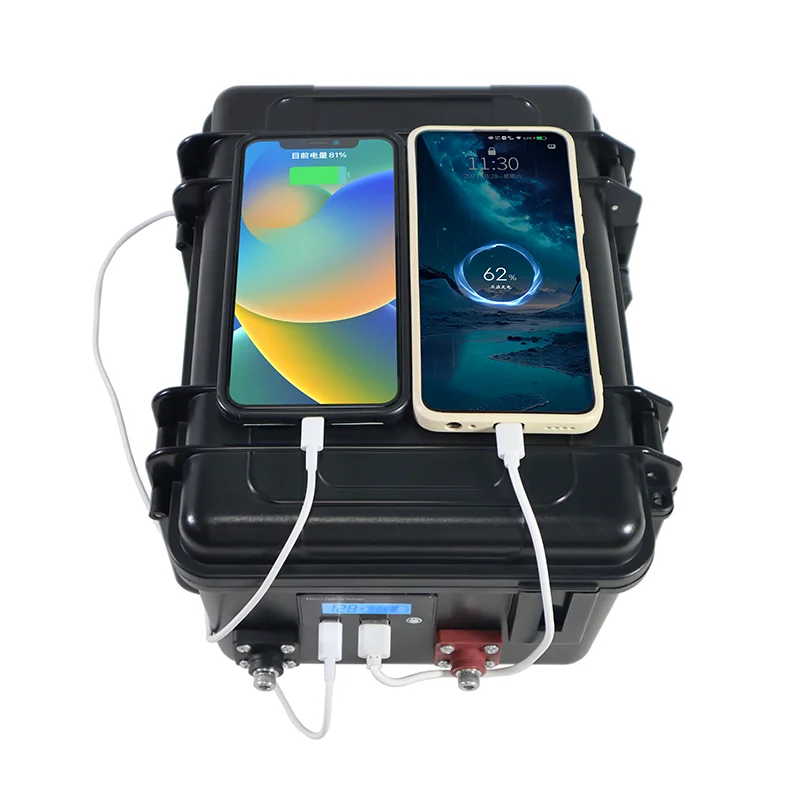 Аккумуляторная батарея LiitoKala, 12,8 В, 80 Ач, 12 В