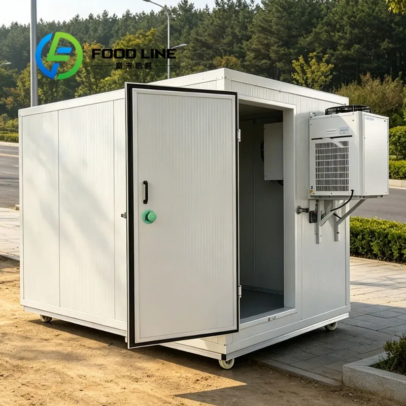 Portable Mobile Freezer Room Walk In Cold Storage For Supermarket Fresh Area Food Preservation Business Use