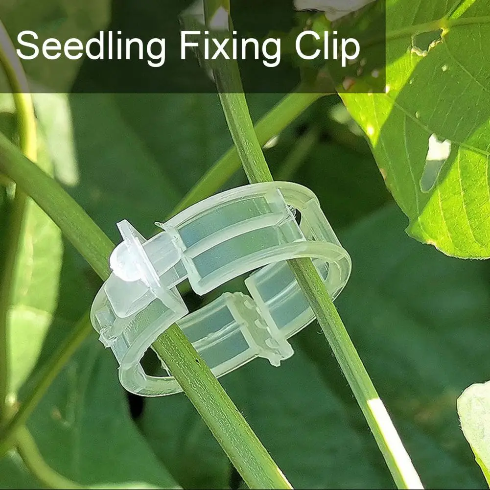 20Pcs Seedlings Fixing Clips Quick-open Plant Support Clips Clear Vine Fixing Buckles for Grafting Tying Vines And Hanging Plant