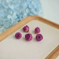 Epoxy Rose Earrings, Dried Flower Accessories, Semi-Finished Flowers, Handmade Resin DIY Materials 4