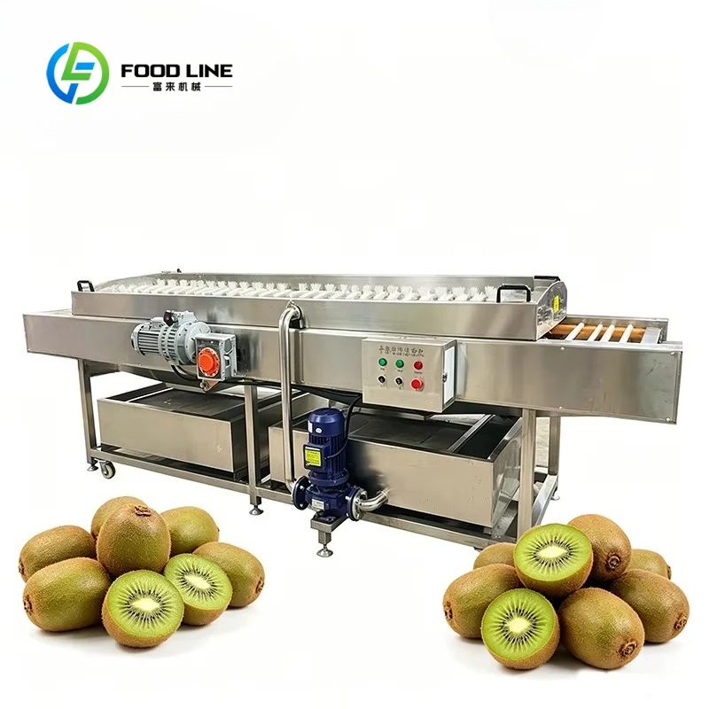Customized Commercial Brush Type Fruit Washing Machine Automatic Fruit Vegetable Cleaning Machine for Farm Food Processing