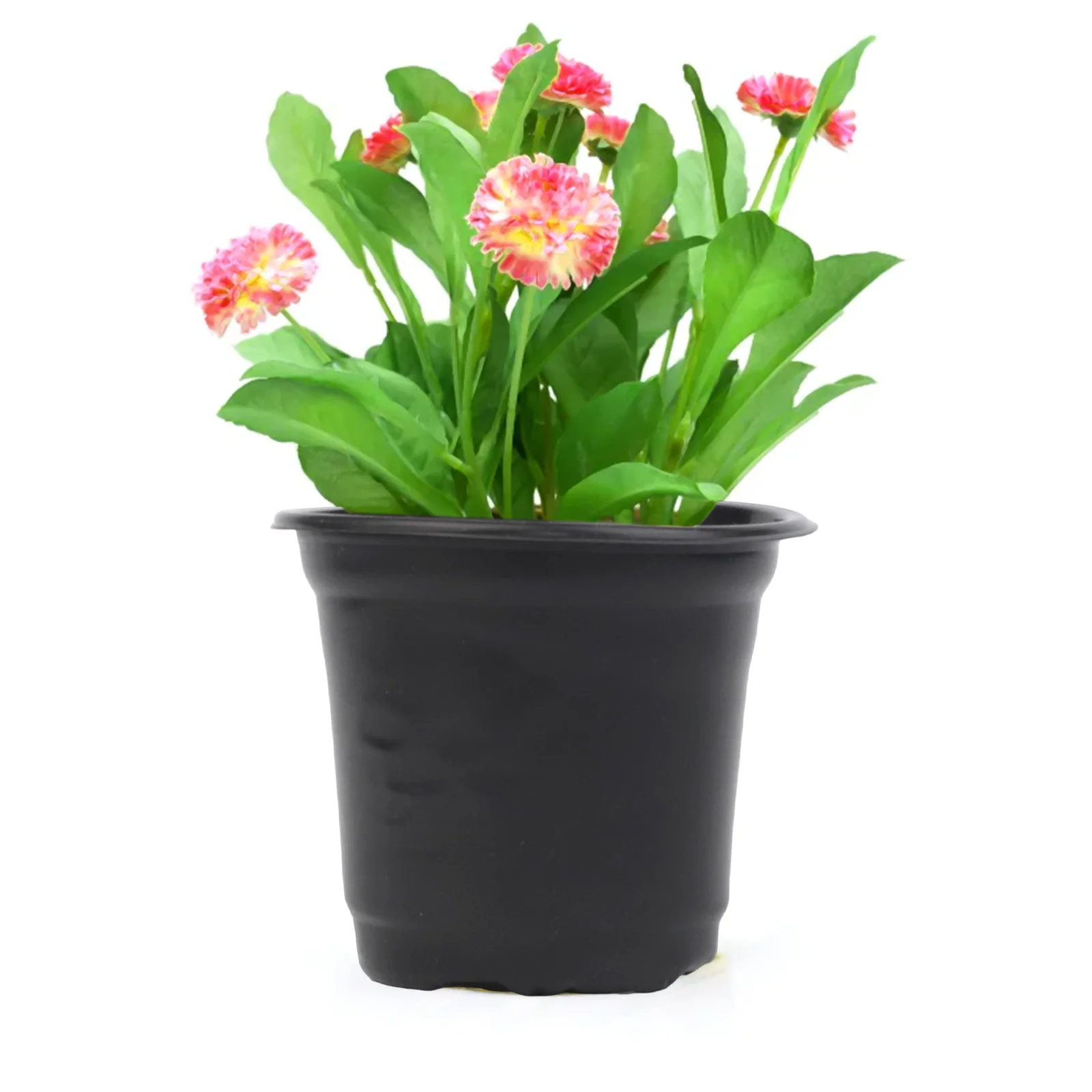 For Home Gardening 10*7*8.7cm Plastic Flower Pots Effective Drainage Pots For Plants Optimal Size For Small Plants