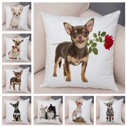 Funda de cojín para coche, sofá, funda de almohada para el hogar, decoración de animales para mascotas, cachorro, Chihuahua