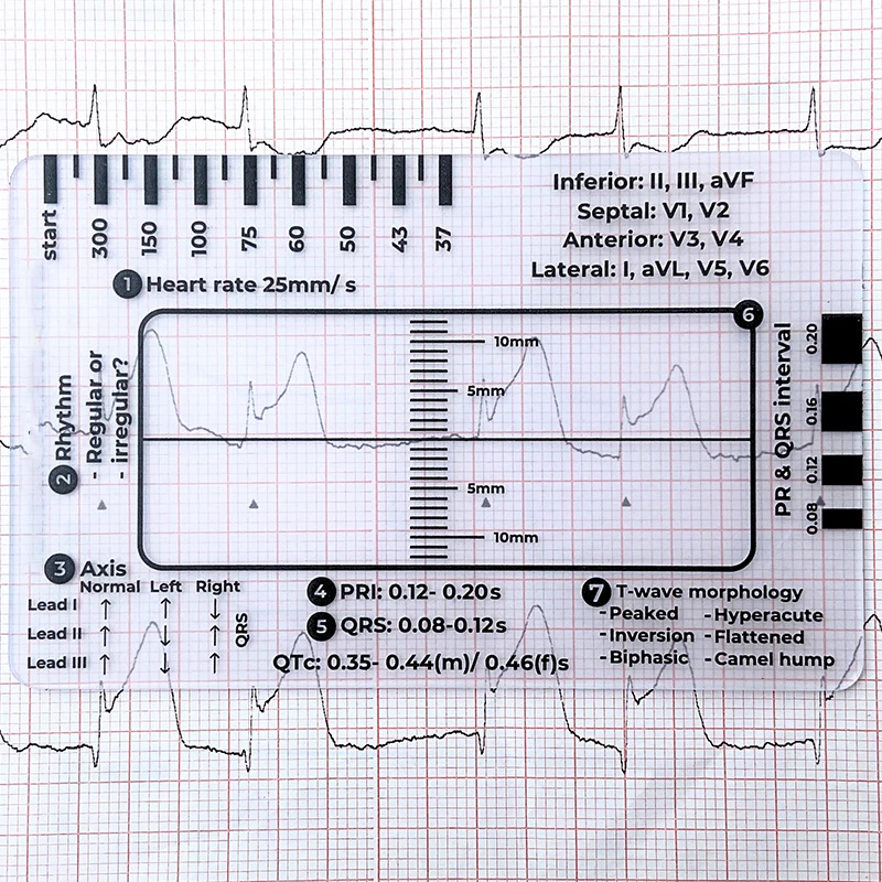 2025 Nuovo righello ECG a 7 fasi Nuova cancelleria regalo creativa per amici, compagni di classe e bambini