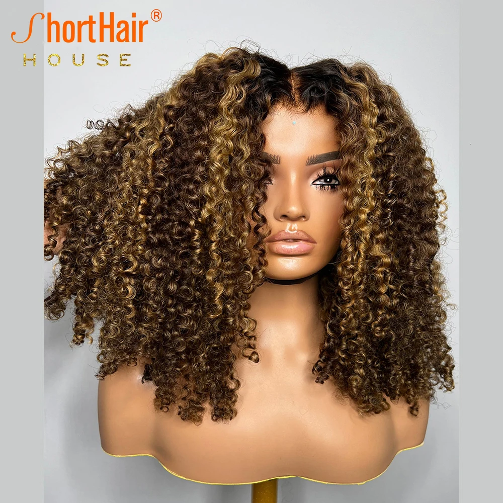 Wear And Go Glueless Wigs Luxury Curly Human Hair Wigs 13x4 Transparent Lace Frontal Wigs 4x4 PreCut Lace Closure Wigs Highlight