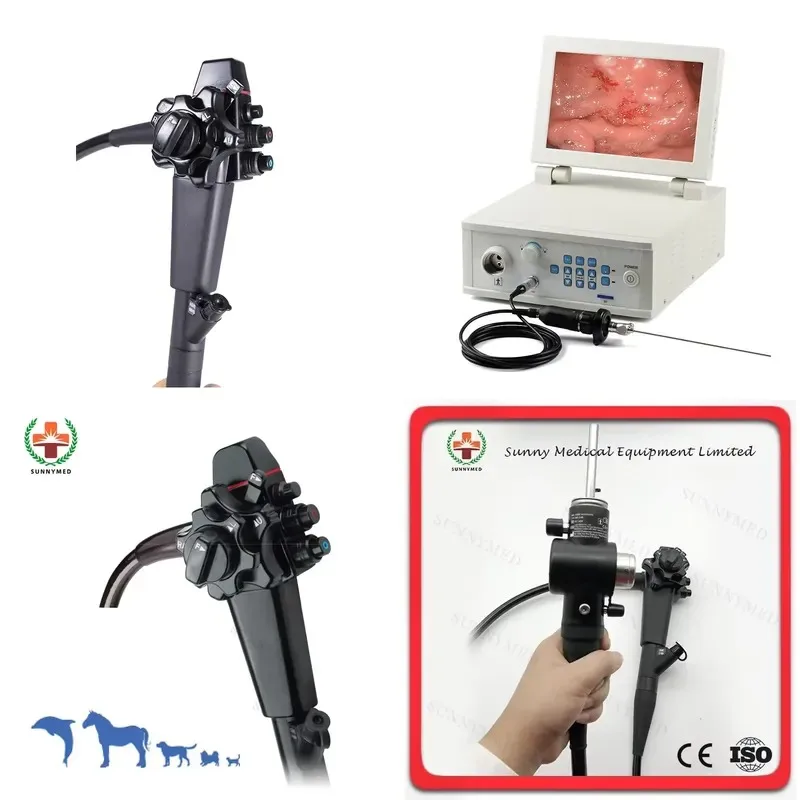 Hot Sale SY-P033 Electronic Veterinary Flexible Gastroscope Vet Video