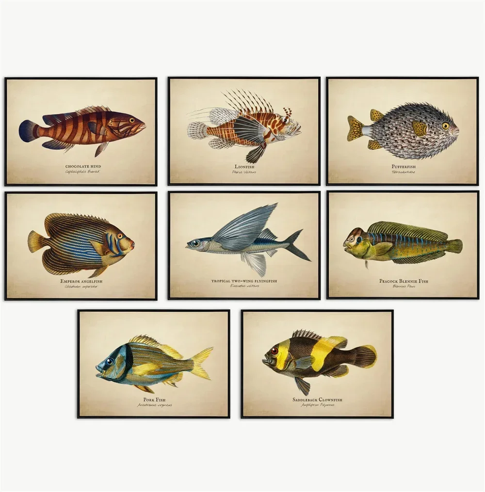 Vintage Pictures Tropical Fish Jellyfish Shells Marine Life Abstract Art Canvas Paintings and Murals Aqu