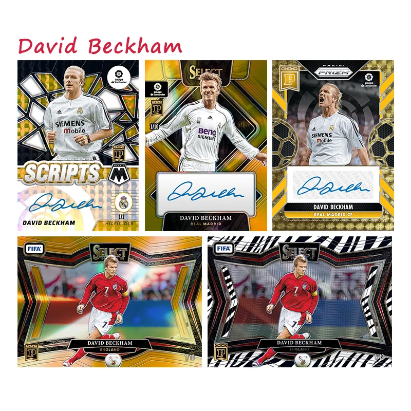 Panini Fifa Footbal…