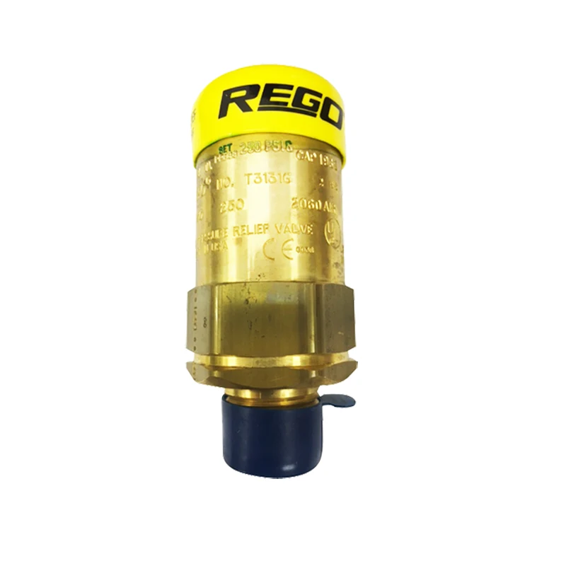 Rego T3131G Lpg Ski…