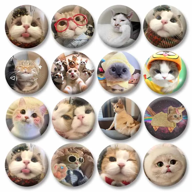 Funny Cat Meme Enamel Pins Tinplate Round Snap-in Brooch Cute Cartoon Badge for Clothes Bag Jewelry Accessories Gifts for Friend