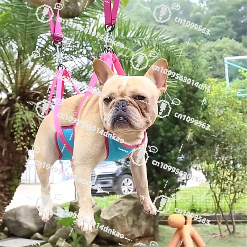 Dog Grooming Hammock, Dog Shearing Holder, Cat and Dog Nail Clipping Hammock