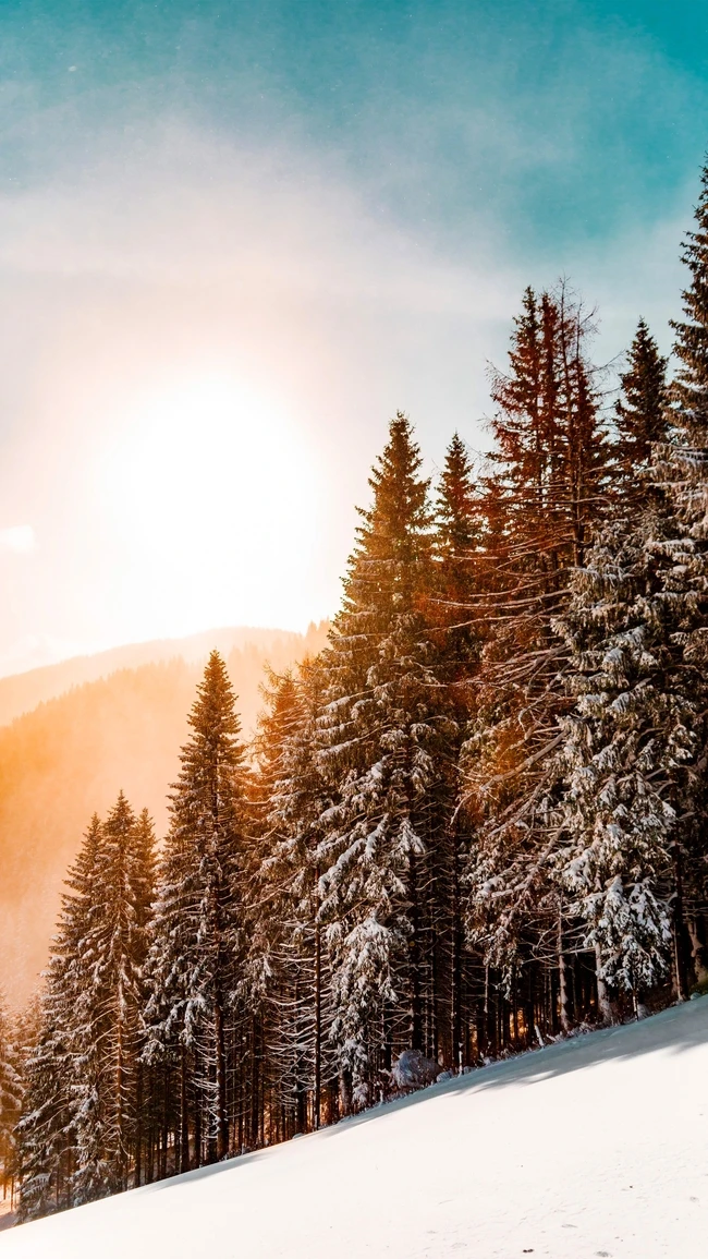 

Диодный лазер для удаления волос с тремя длинами волн 808 нм, 1064 нм, Soprano, с технологией охлаждения, безболезненное и перманентное удаление волос.