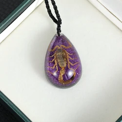 New Fashion Originality Resin Water Droplets Scorpions Insect Pendant Necklace for Women Men Jewelry Halloween Accessories Gifts