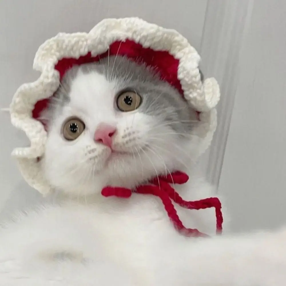 Autumn Winter Cute Cat Hat Cartoon Elastic Kittens Knitted Hat Party Refined Puppy Pet Cap