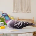 pigeon ame