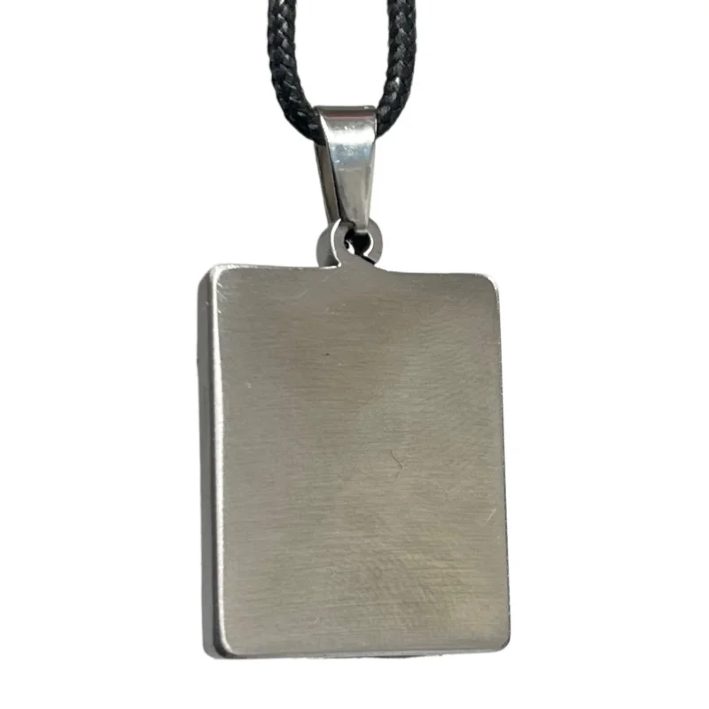 Natural Muonionalusta Meteorite Inlaid Pendant Necklace Widmanstatten Texture Stainless Steel Frame Jewelry LK638
