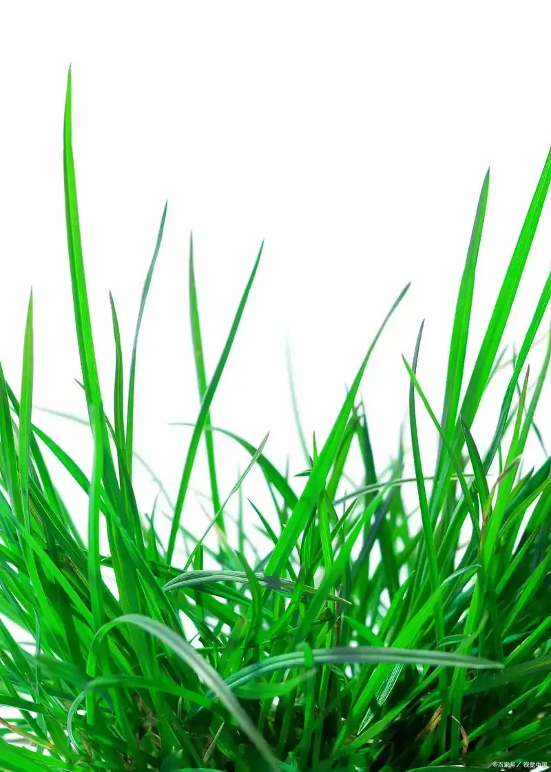 Portador de buje trasero de Metal de 3 grados, 54733 para Tamiya TT02 TT-02 1/10 RC, piezas de mejora de coche, accesorios