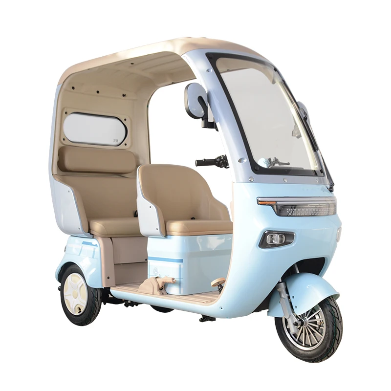 China Manufacturer Factory Price Cargo Electric Tricycle Brushless Motor Open Lead-Acid Battery Steel EEC 3 Wheel Electric Trike