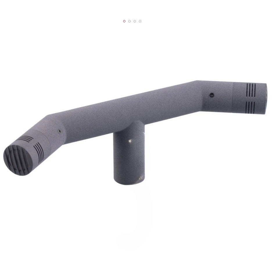 Stereo microphone, microphone, practical goods