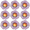 PE9054CT