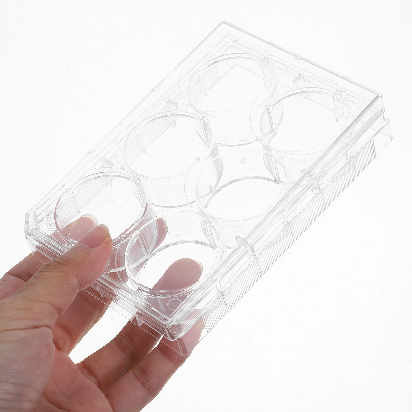 Com tampa placa de tecido de laboratório transparente, superfície plana de crescimento celular, placa de petri multifuncional para experimentos científicos de laboratório