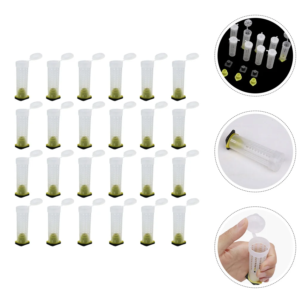 

30Pcs Bee Breeding Cage Mesh Protector Plastic Bee Shield Easy Installation Removal Excellent Ventilation Sufficient Quantity