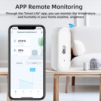 Smart Temperature Sensor 2