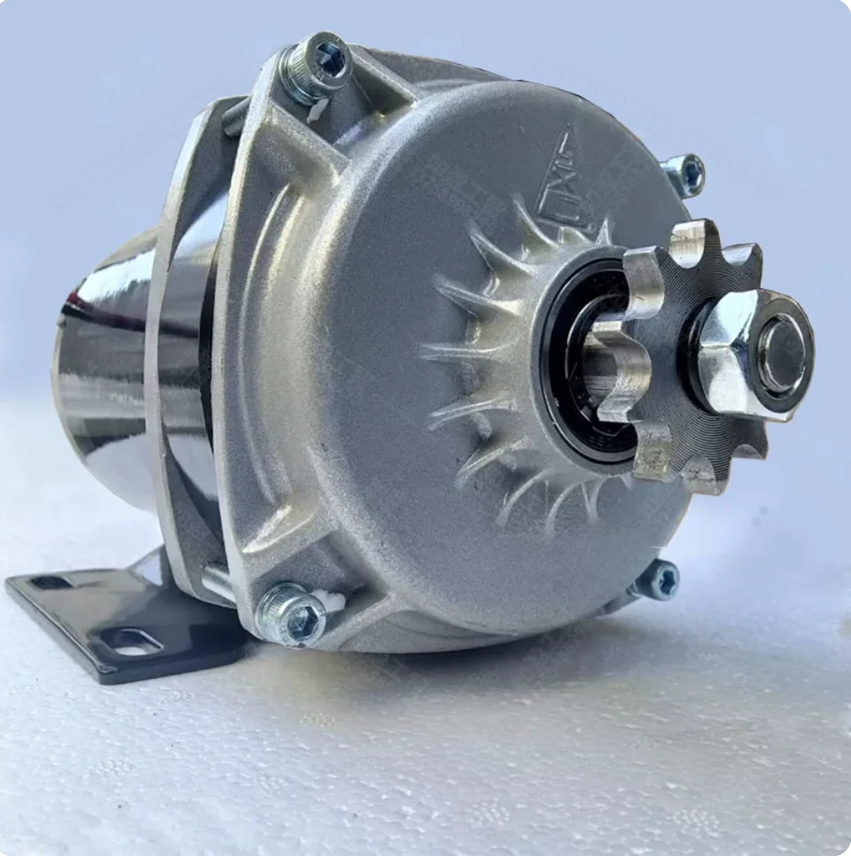 Brushed DC Reduction Motor 24V 500W , Chain Belt Drive Optional Electric Motor for Tricycle Feeder Machinery Refit