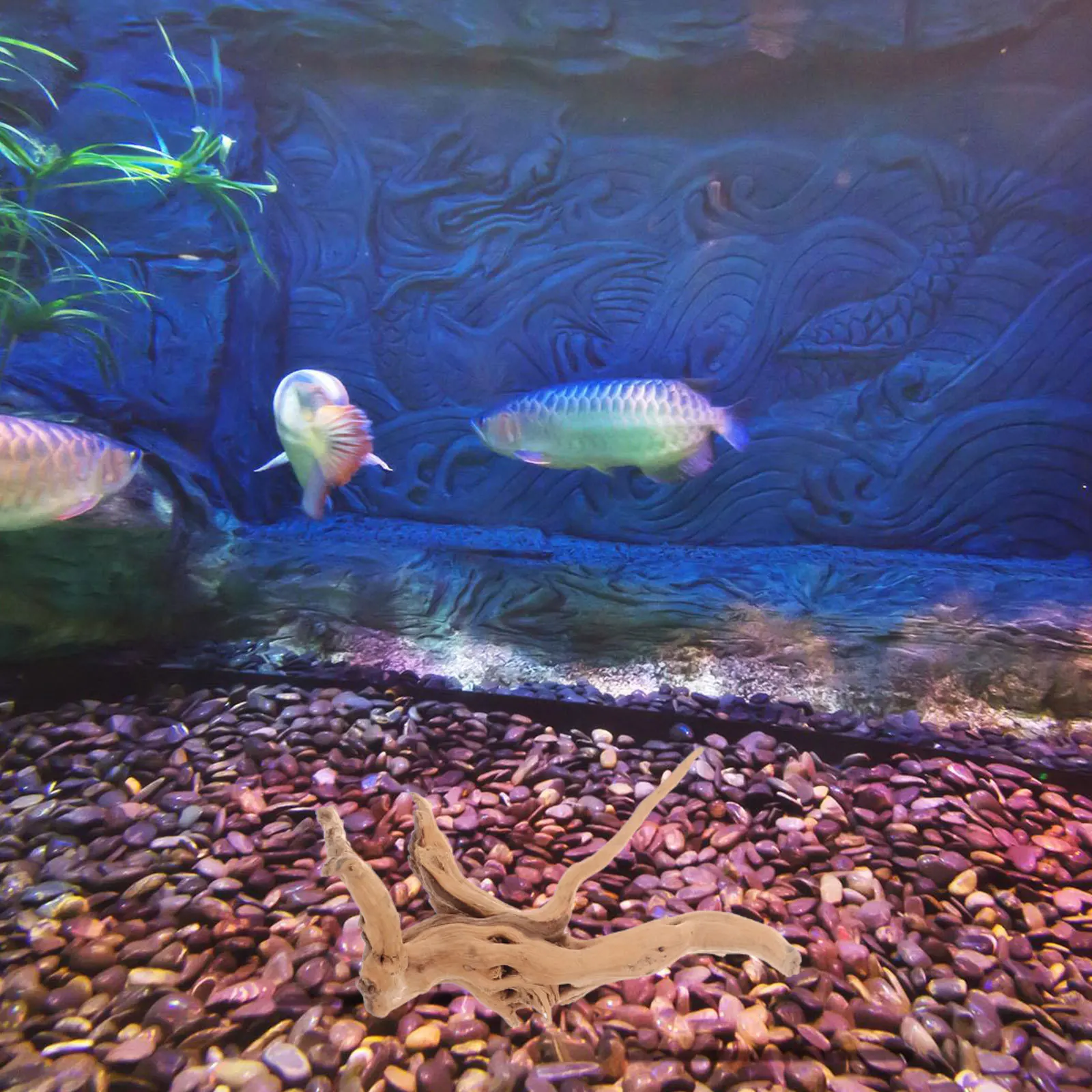 

3Pcs Fish Tank Driftwood Natural Craft Realistic Aquarium Decor Landscape Wood Ornament Driftwood for Aquarium