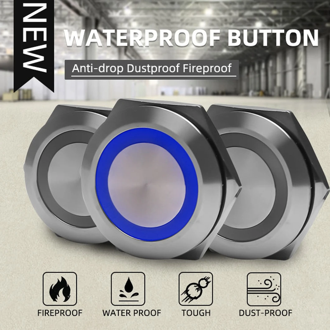 

ABILKEEN 19/22 мм IP67 Водонепроницаемая ультратонкая миниатюрная металлическая кнопка-переключатель 1НО с мгновенным срабатыванием, светодиодной подсветкой и кабелем