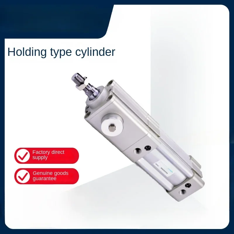 Standard Cylinders Hold BSAI Series