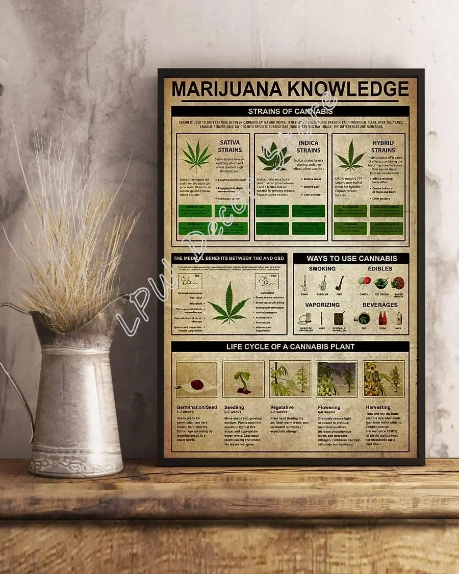 Knowledge strains of  Poster Metal Tin Signs Retro Metal Signs Vintage