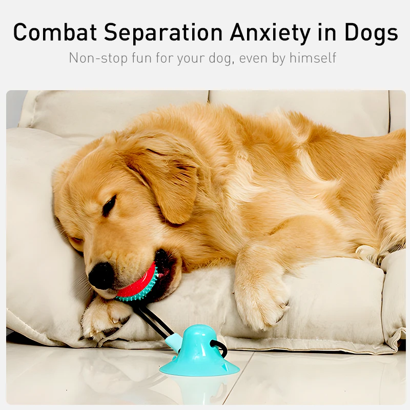 Thumbnail 3 - #23 Latest Treat Dispensing Dog Toys Offers