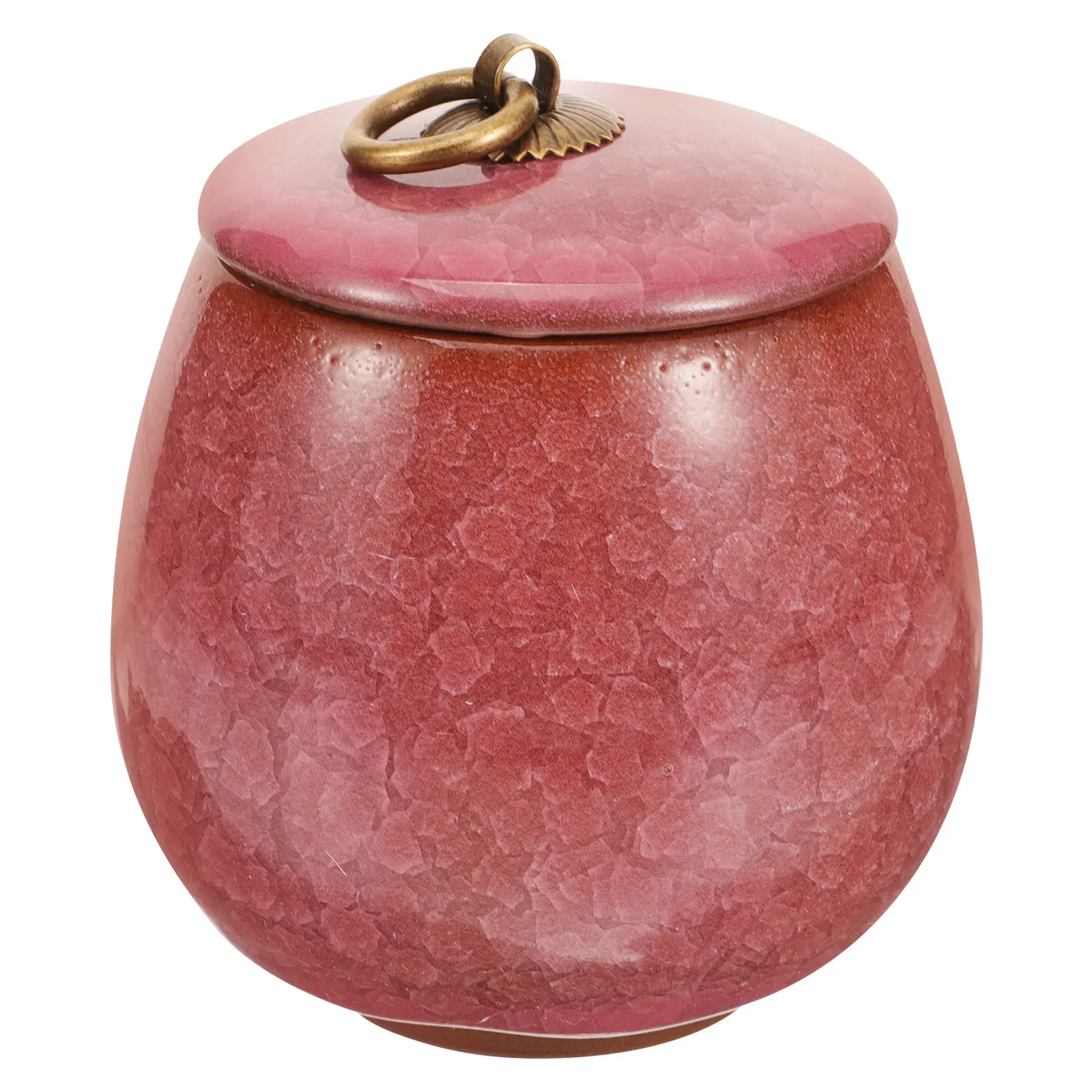 Pet Urn Ceramic Small Memorial Pet Cremation Urn for Dog Cat Ashes Keepsake Funeral Urns for Ashes Safe Sealed Storage