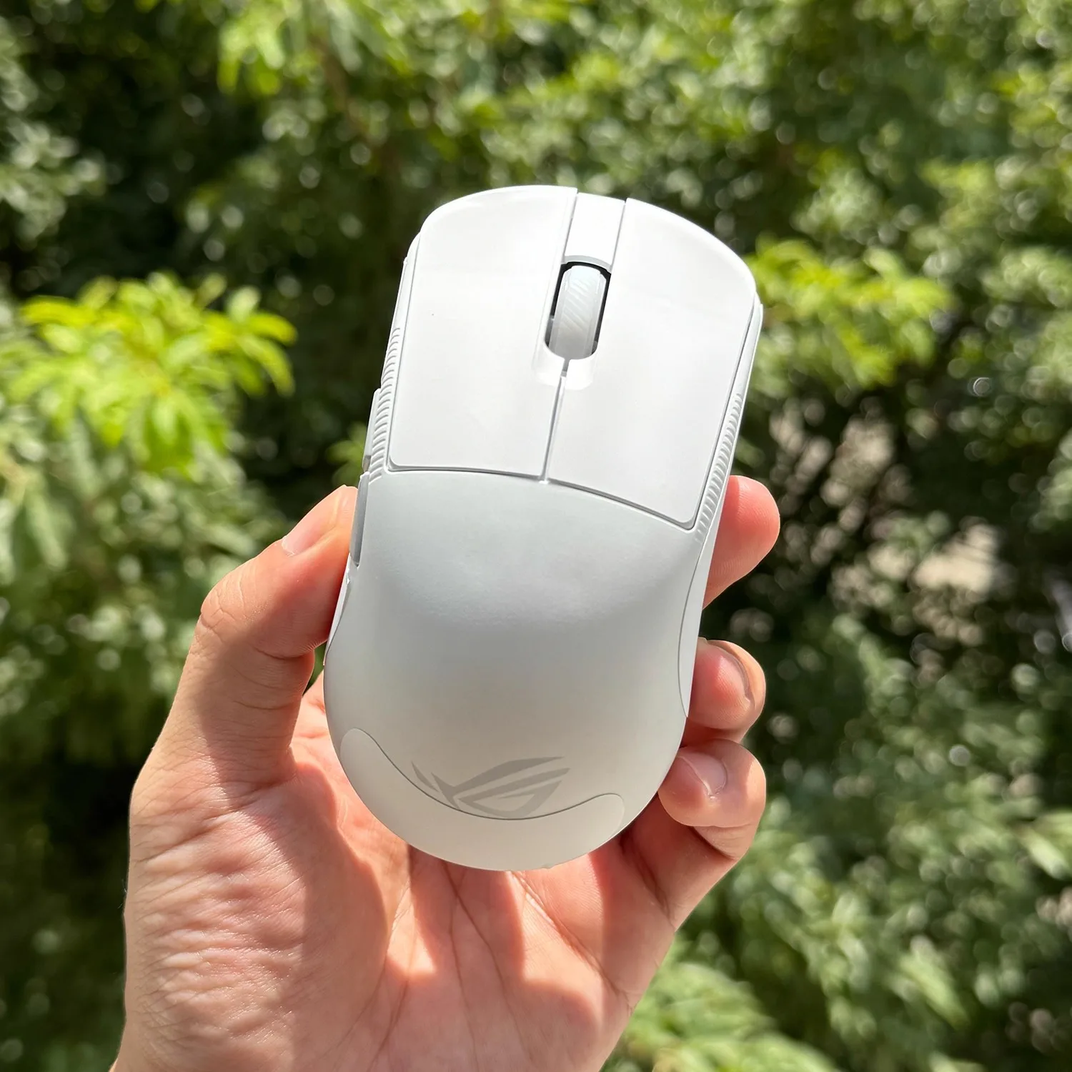 ملصق ماوس خفيف الوزن مانع للانزلاق لـ ASUS ، ROG ، Harpe ، ACE ، صغير ، مانع للانزلاق ، ندفة الثلج فائقة الرقة ، نسيج سحلية ، مجموعة واحدة