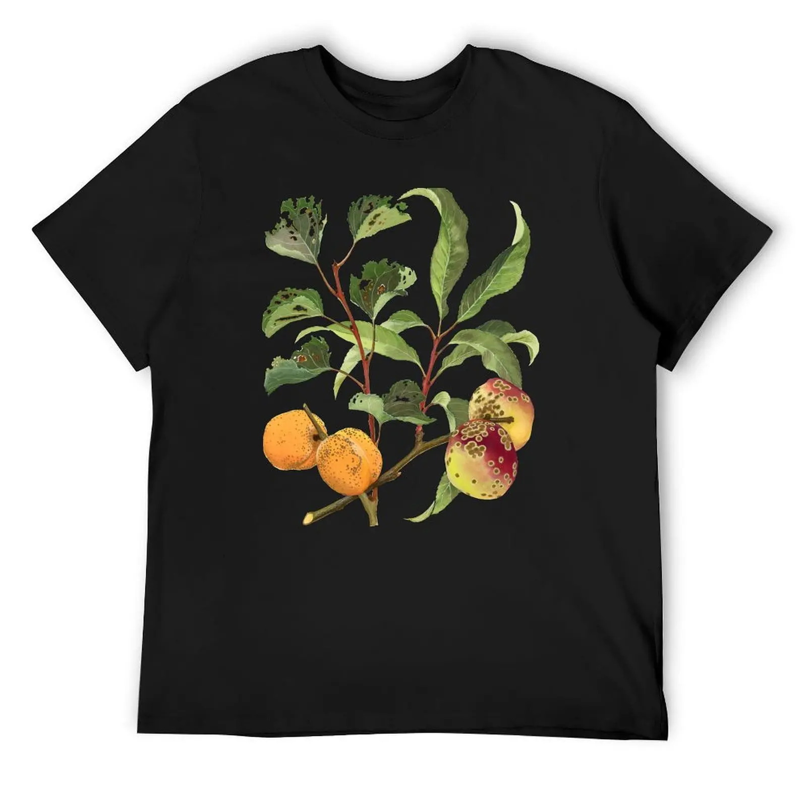 Shot-Hole and Freckle of Stone Fruit - (cut-away) T-Shirt anime figures summer tops men clothing