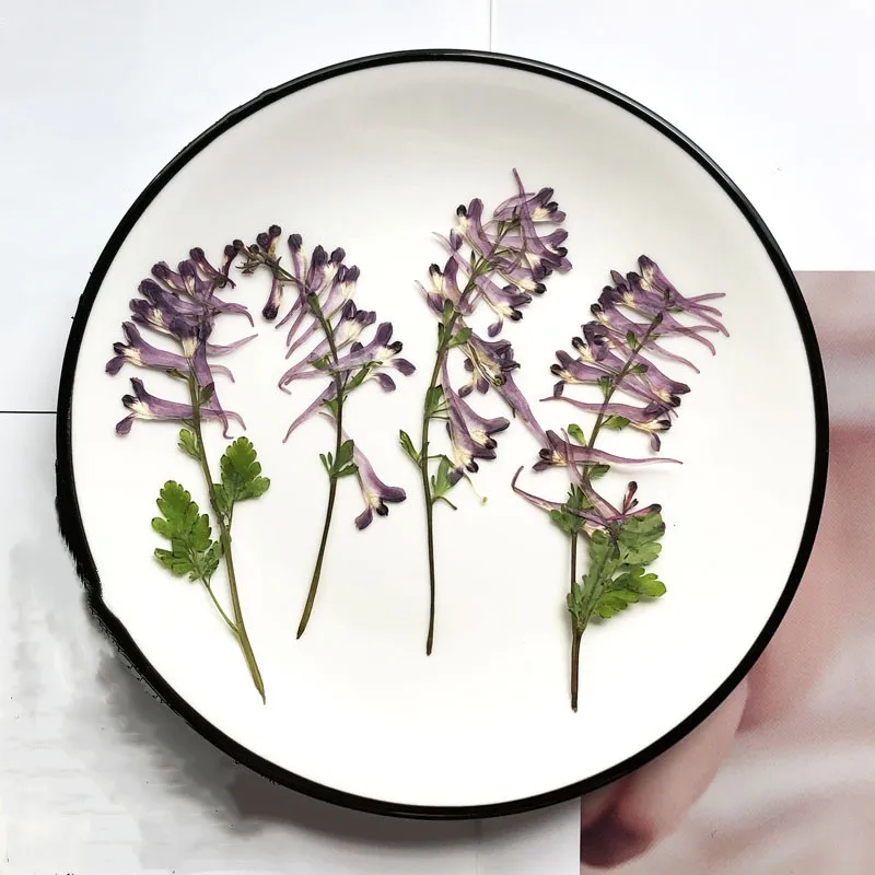 1Bag Pressed Dried Corydalis edulis Maxim Flower Herbarium For Nail Art Make Up Jewelry Bookmark Phone Frame Case Card DIY