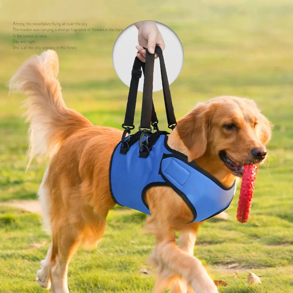 Support Front Legs Elderly Disabled Dog Pet Auxiliary Belt Dog Lifting Belt Pet Lift Support Harness Dog Walking